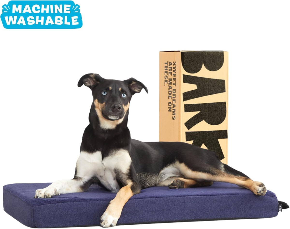 Barkbox Orthopedic Dog Bed with Memory Foam, Premium Comfort for Dogs and Puppies, Dog Bed for