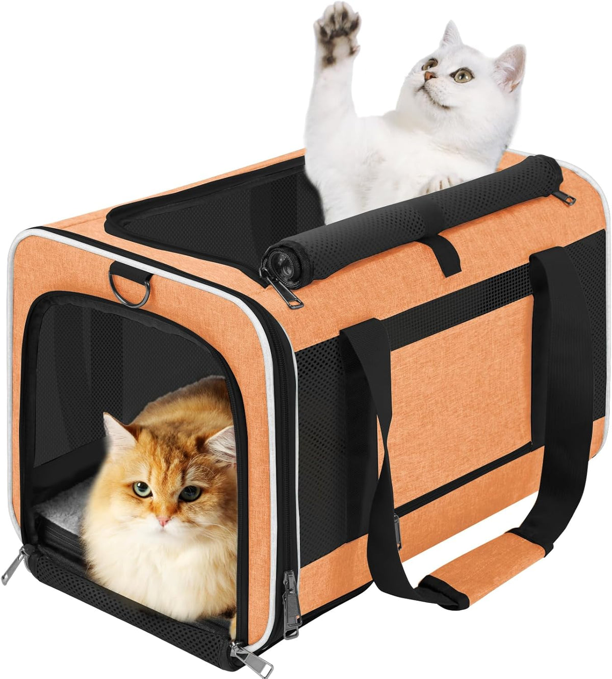 Large Cat Carry Bag, Soft Shell Shih-Tzu Pet Transport Crate, 18x12x12 Top Opening Maltese-Dog