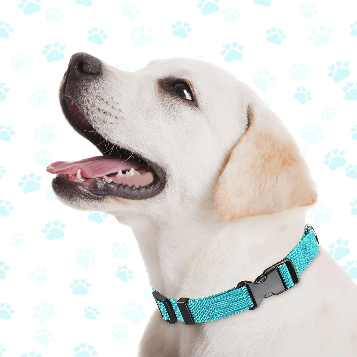 9 Pieces Adjustable Dog Collar for Animal, Soft Nylon Pets Puppy Collar with Quick Release Buckle