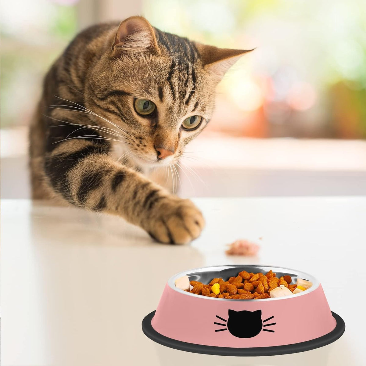 2Pcs Cat Bowls Non-Slip Stainless Steel Small Cat Food Bowls Unbreakable Thicken Cat Feeder 7 Oz