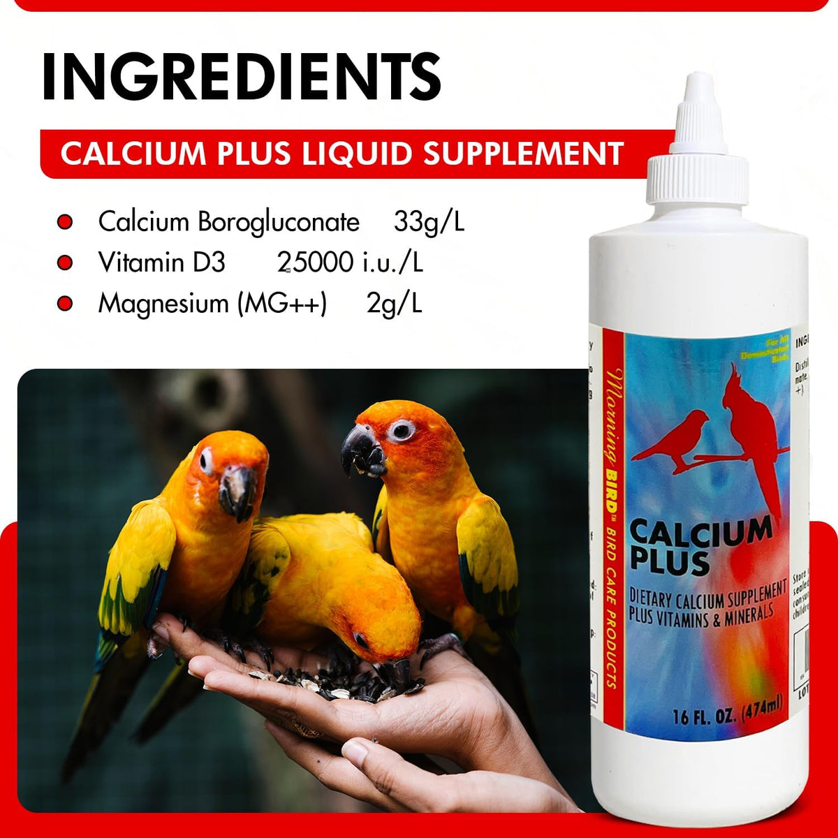 Morning Bird Calcium Plus Liquid Supplement for Birds - Liquid Calcium Formula with Magnesium and