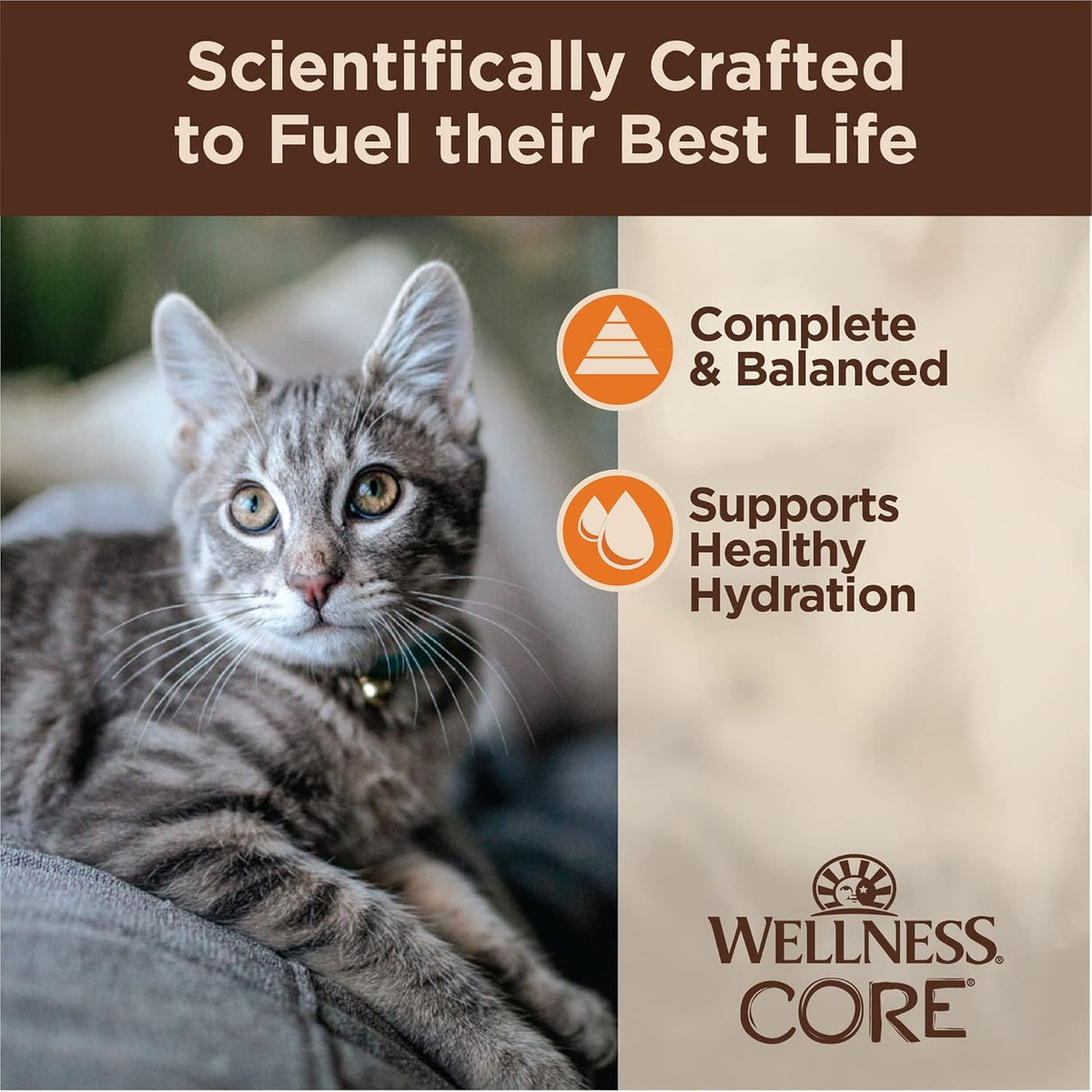 Wellness CORE Tiny Tasters Minced Adult Wet Cat Food, Natural, Protein-Rich, Grain Free, 1.75-Ounce