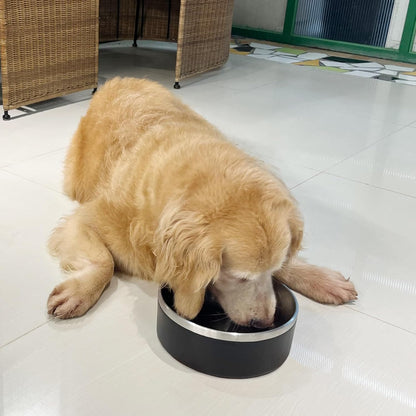 Stainless Steel Dog Bowls, Metal Dog Bowls, Water Bowl for Dogs, Dog Food Bowls, Pet Bowls for