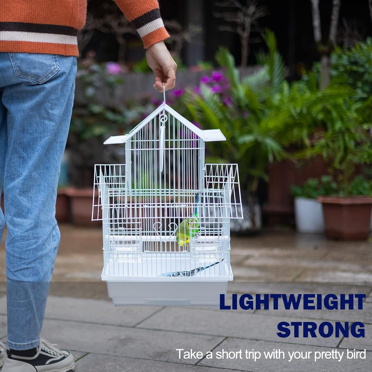 Small Bird Travel Cage - The Lightweight Small Birds Starter Kit with Birdcages and Accessories