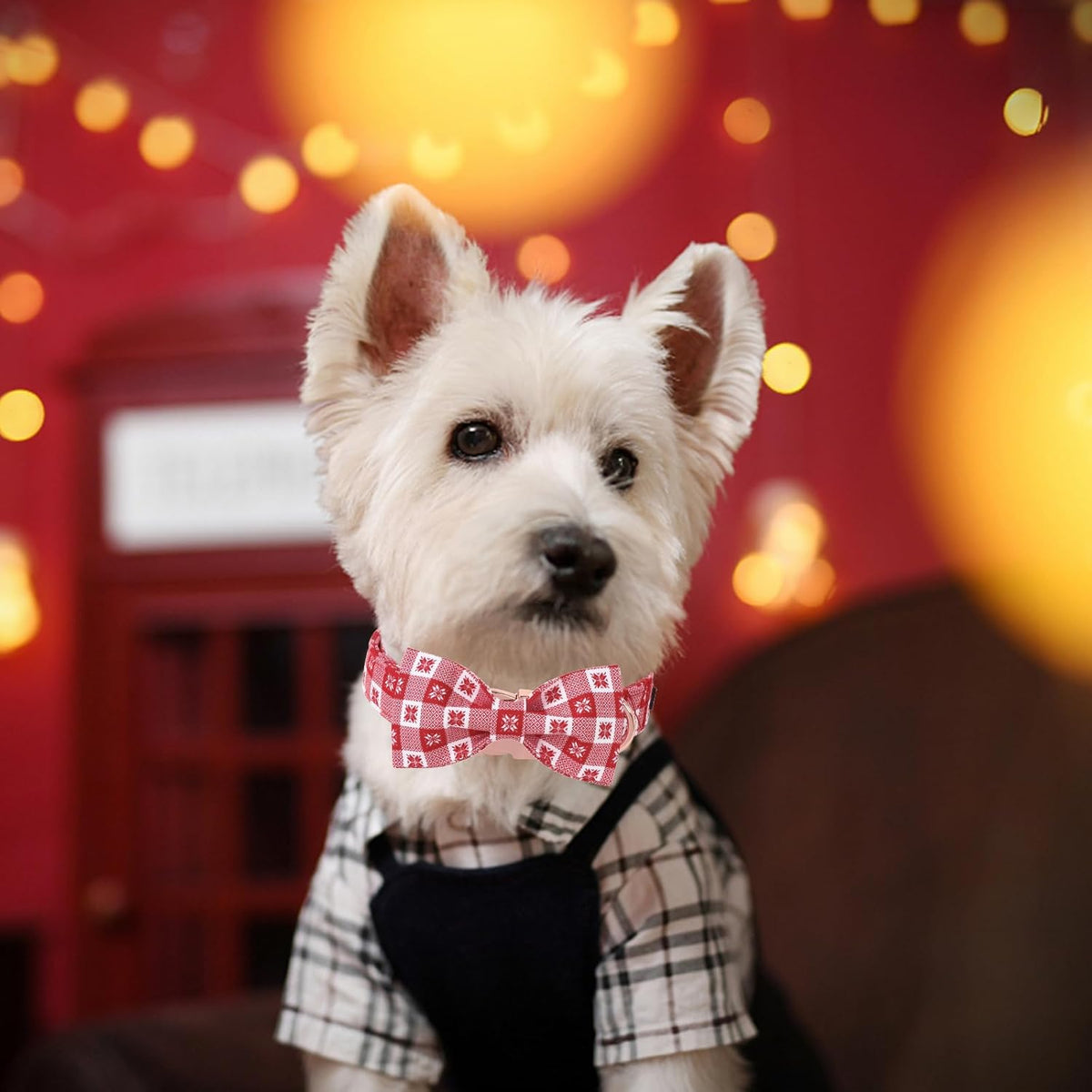 Unique Style Paws Christmas Day Dog Collar with Bow Christmas Red Papercut Cotton Puppy Collars for
