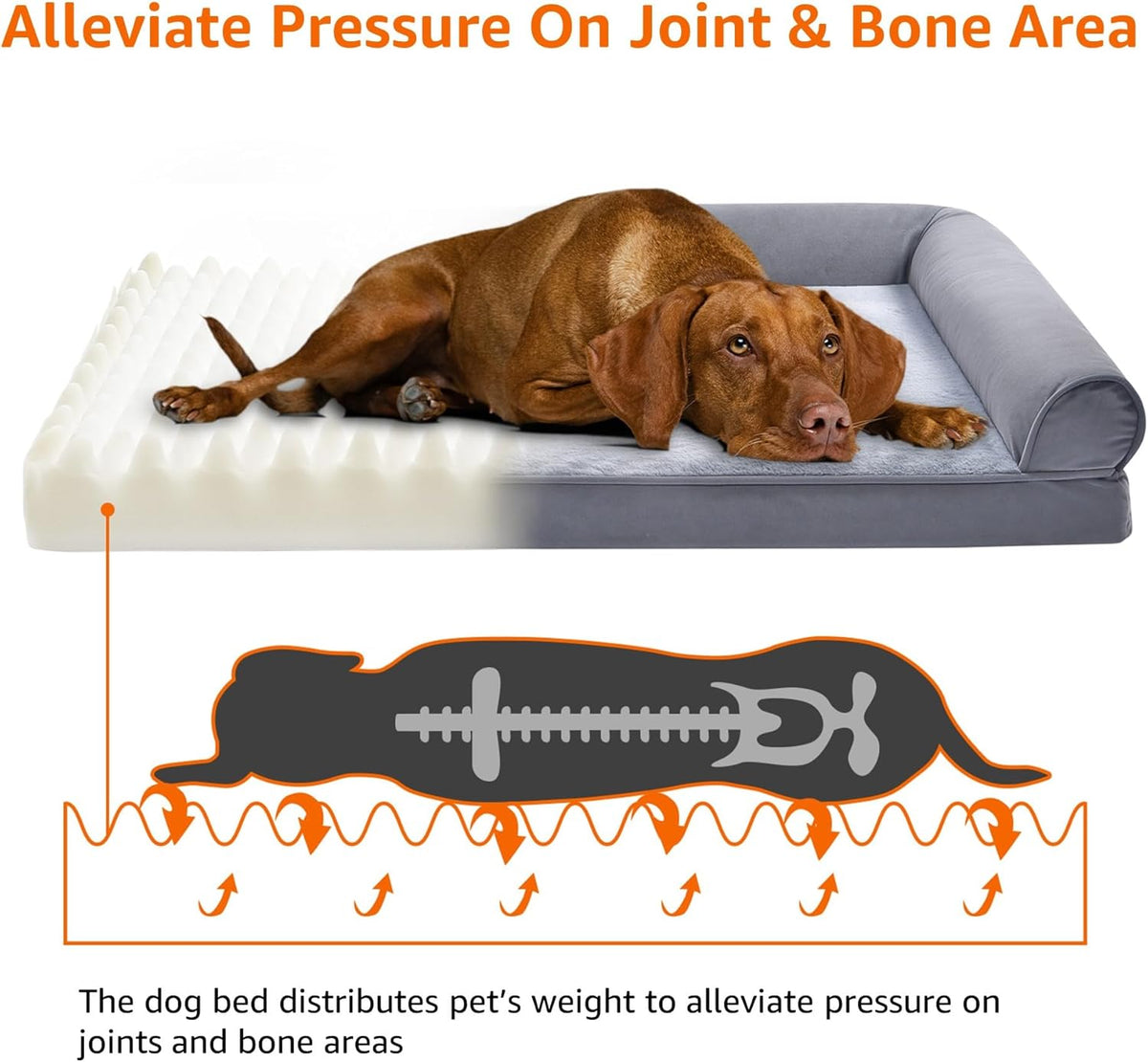 Amazon Basics Living Room Couch Dog Bed with Premium Foam, Pressure-Relief Support for Dogs up to