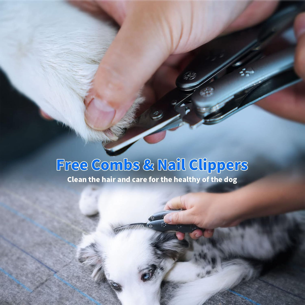 Best Dog Nail Trimmers for Anxiety Sensitive Dogs, Quiet Sharpest Smoothest Nail Clippers for Large