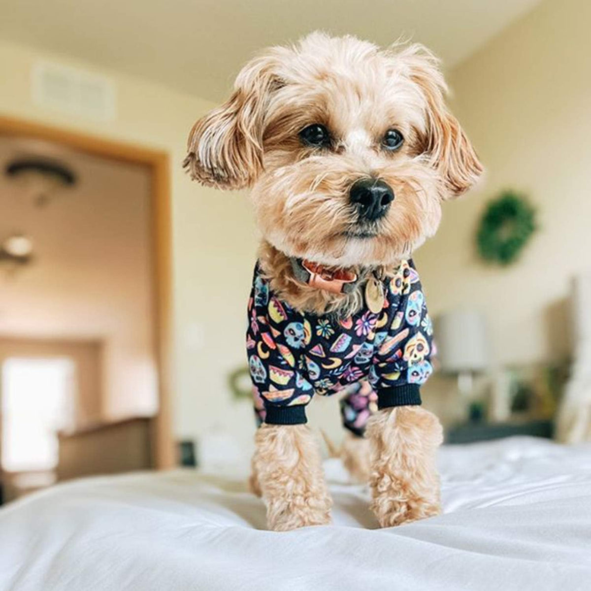 CuteBone Small Dogs Outfit Soft Puppy Onesies Pjs Dog Pajamas Pet Coat Cat Apparel Comfy Doggie