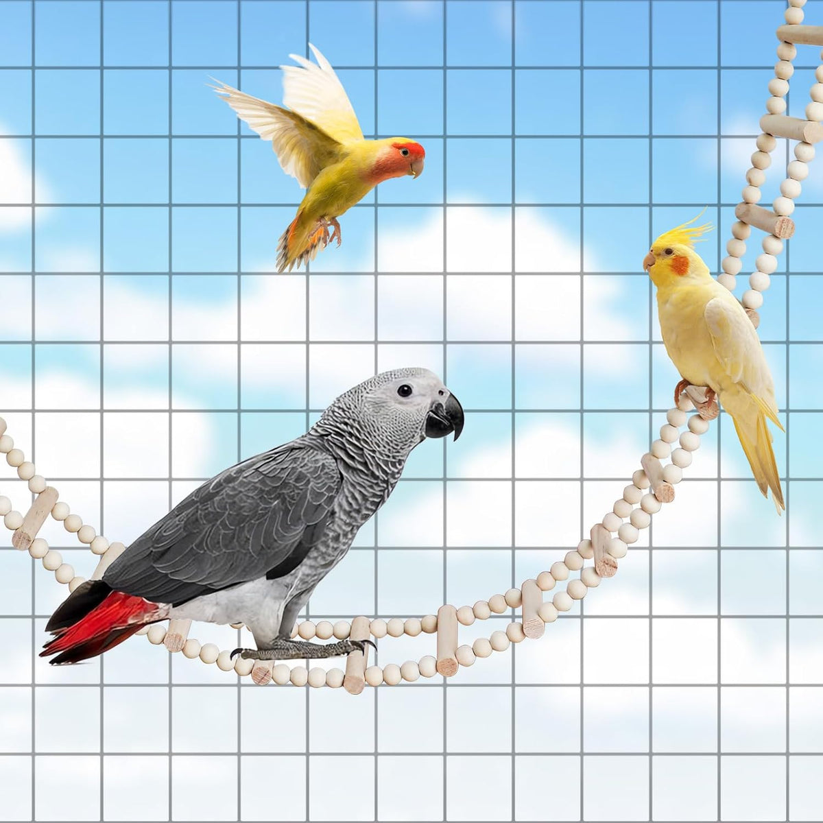 Long Bird Ladder with Wooden Rungs and Beads, Parakeet Climbing Swing Toys, Bird Cage Accessories