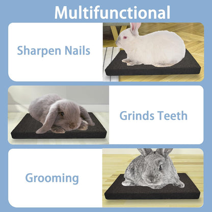 BNOSDM Rabbit Grinding Claw Pads Bunny Scratch Foot Pads Natural Hamster Lava Stone for Teeth