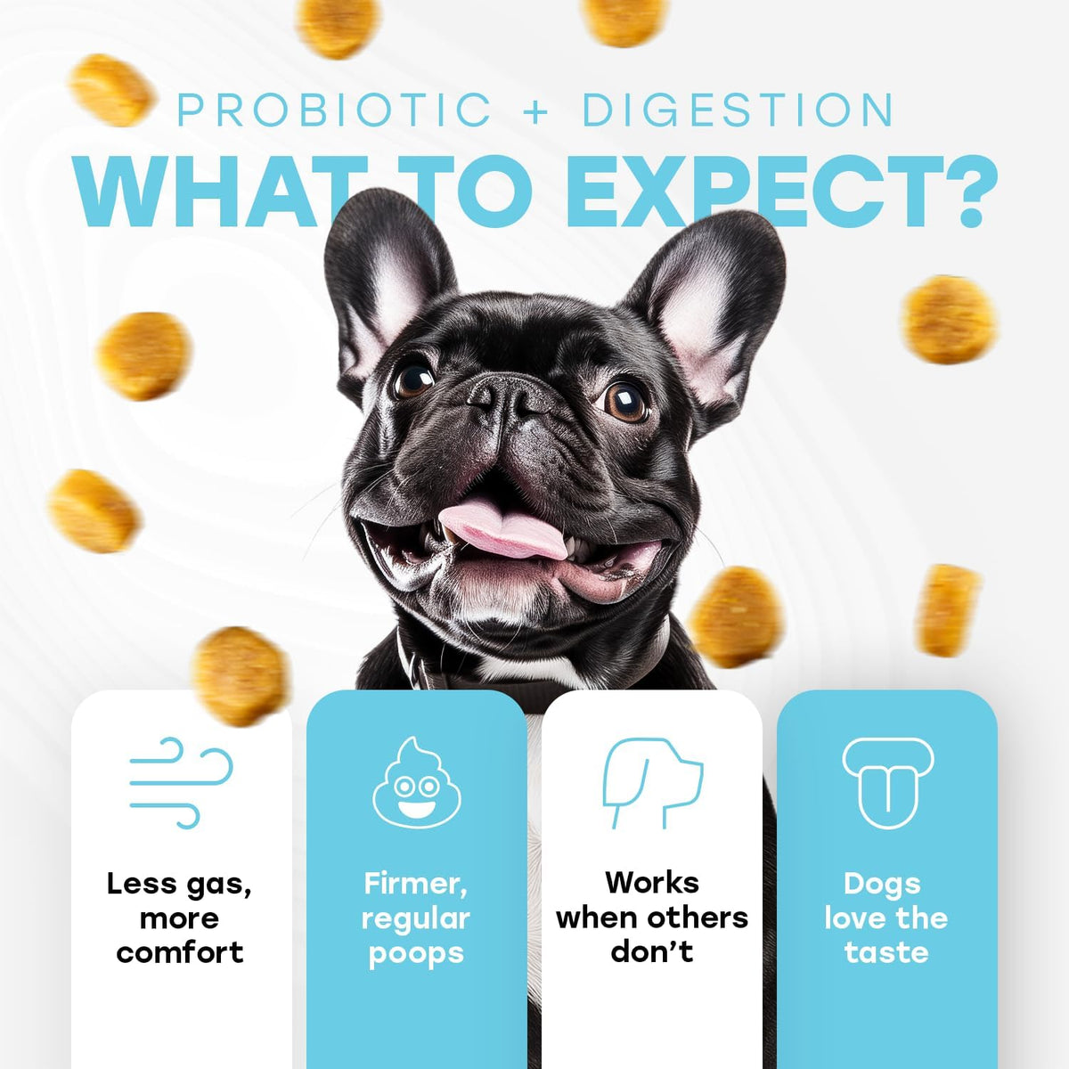Probiotics for Dogs - PhD Endorsed Digestive Enzymes - Gut Health, Diarrhea & Bowel Support - Dog
