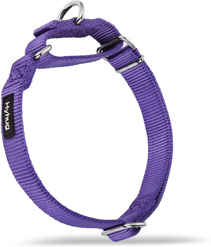 Hyhug Pets Premium Upgraded Heavy Duty Nylon Anti-Escape Martingale Collar for Boy and Girl Dogs