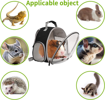 Guinea Pig Carrier,Guinea Pig Carrier for 2,Reptile Travel Carrier for Lizards Sugar Glider