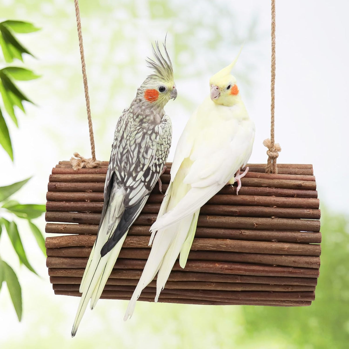 Bird Parrot Swing Toys, Hanging Bird Perch Stand, Natural Willow Wood Parrot Hammock, Bird Cage