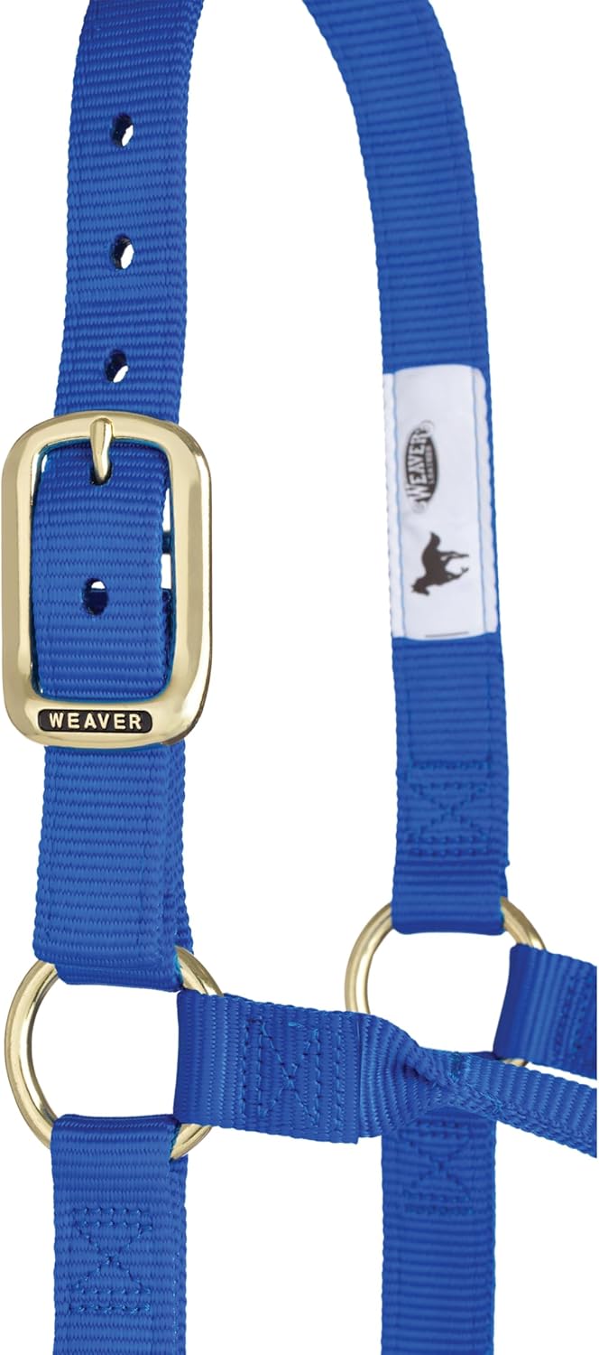 Weaver Equine Nylon Horse Halter, Triple-Ply Cheek Design, Original Non Adjustable Halters for