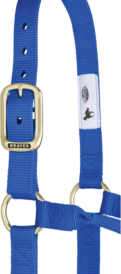Weaver Equine Nylon Horse Halter, Triple-Ply Cheek Design, Original Non Adjustable Halters for
