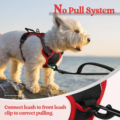 rabbitgoo Dog Harness No Pull with 2 Leash Clips, Adjustable Soft Padded, Reflective Oxford No