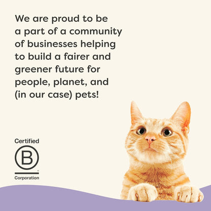 Applaws Vitality Wet Cat Food in Broth, Natural Canned Cat Food, Wet Food for Cats with Added