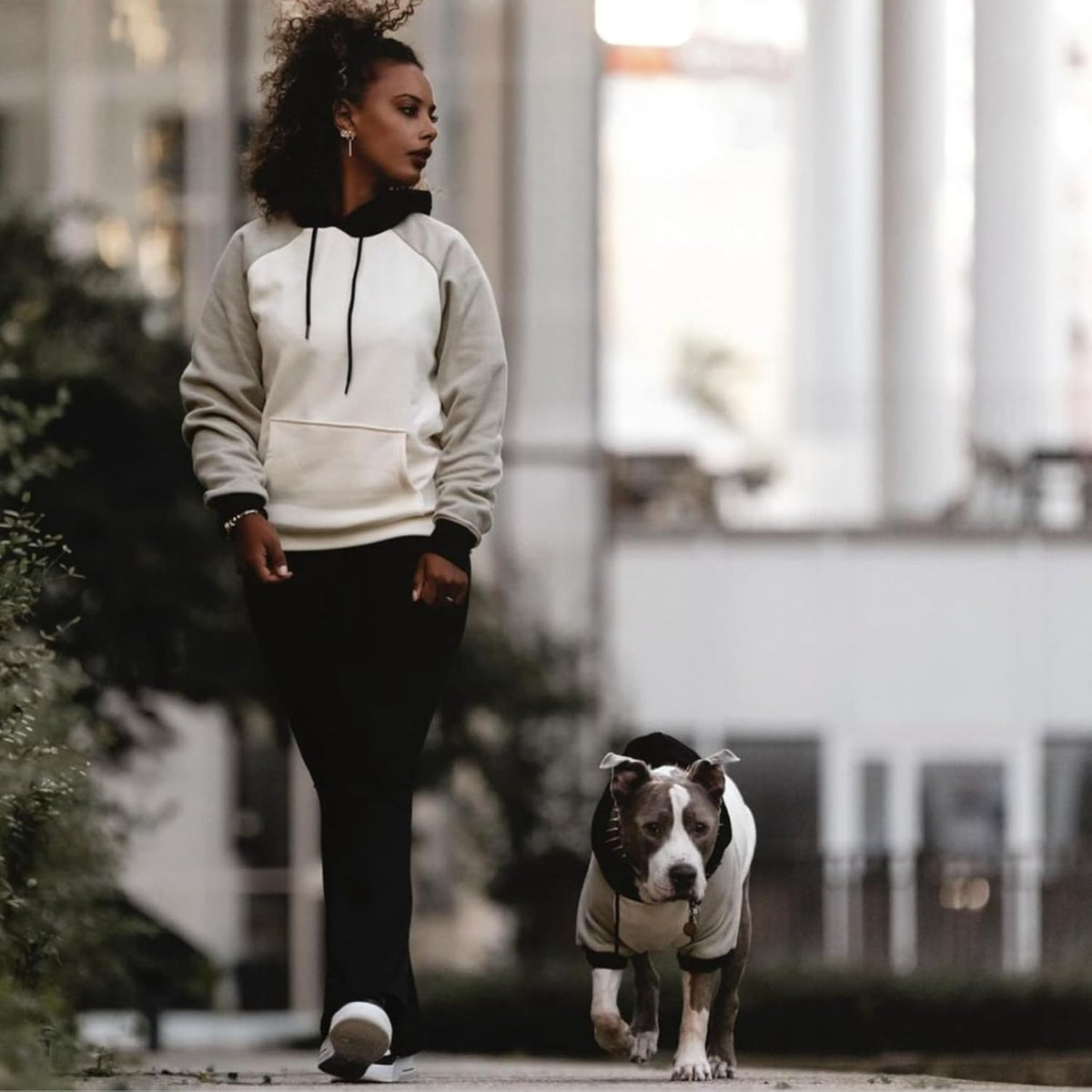 Spark Paws Dog Hoodie – Premium Dog Sweater for Small, Medium, and Large Dogs | Warm Outfits for