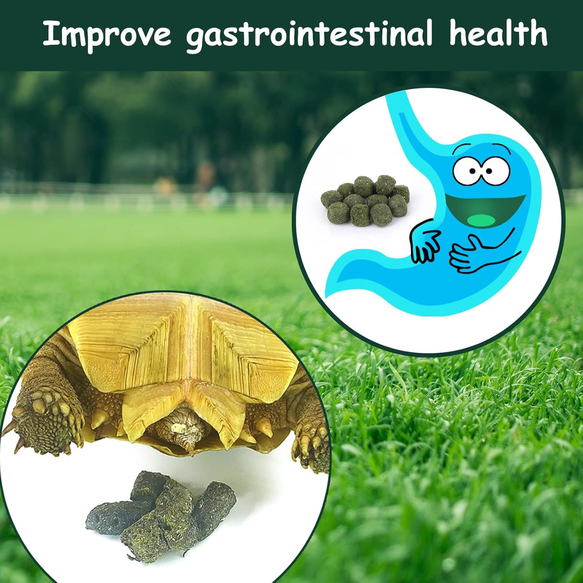 Timothy Hay Cubes 90 oz (9 * 10 oz) with Small Size - Timothy Grass Pellets for Tortoises Rabbits