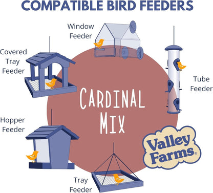 Valley Farms Cardinal Mix (3 LB) Wild Bird Food for Outside Feeders, Cardinal Bird Seed with Black