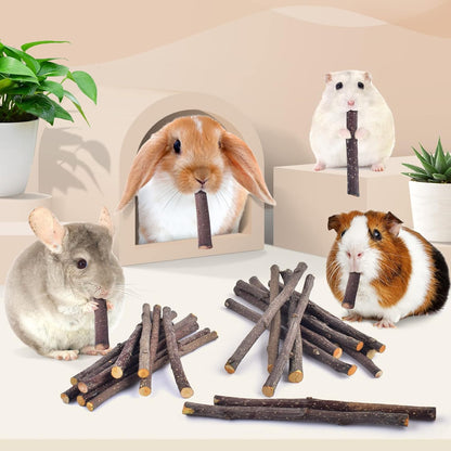 Bissap 120g/4.2oz Apple Sticks for Rabbits, Natural Bunny Chew Toys and Treats for Chinchilla