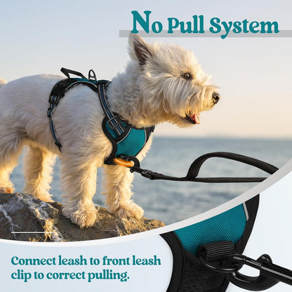 rabbitgoo Dog Harness No Pull with 2 Leash Clips, Adjustable Soft Padded, Reflective Oxford No