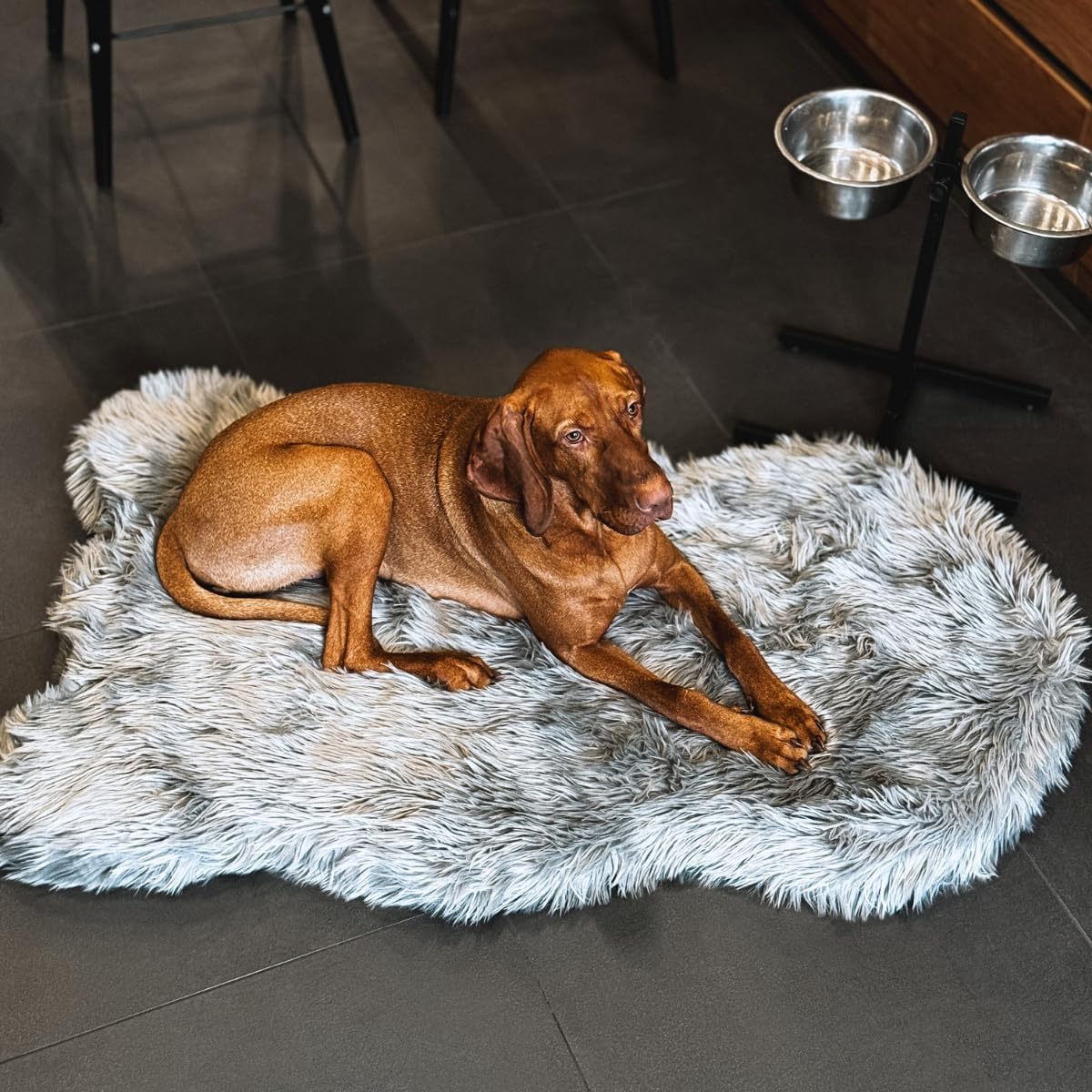 IHAPPYDOG Luxury Faux Fur Orthopedic Dog Bed, Memory Foam Dog Bed for Small, Medium, Large and XL