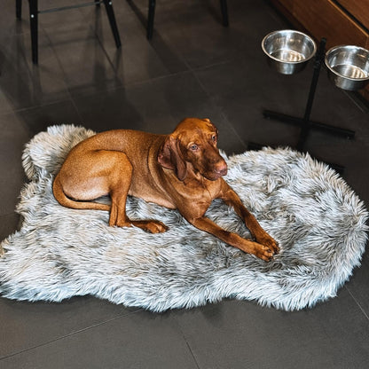 IHAPPYDOG Luxury Faux Fur Orthopedic Dog Bed, Memory Foam Dog Bed for Small, Medium, Large and XL