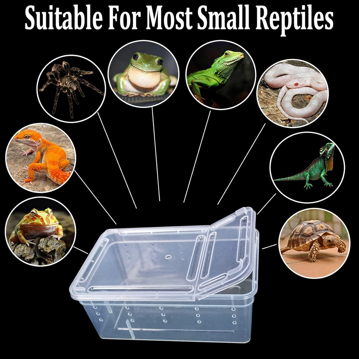 Critter Keeper 2-Pack, Cricket Cage & Reptile Feeding Box 12.59"x8.66"x5.9" Transparent Portable