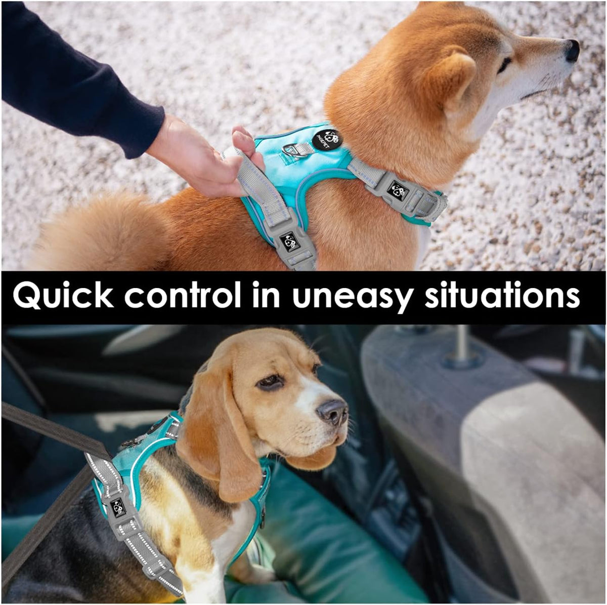PHOEPET No Pull Dog Harness, Unique Colors Reflective Adjustable Dog Vest, with Soft Training