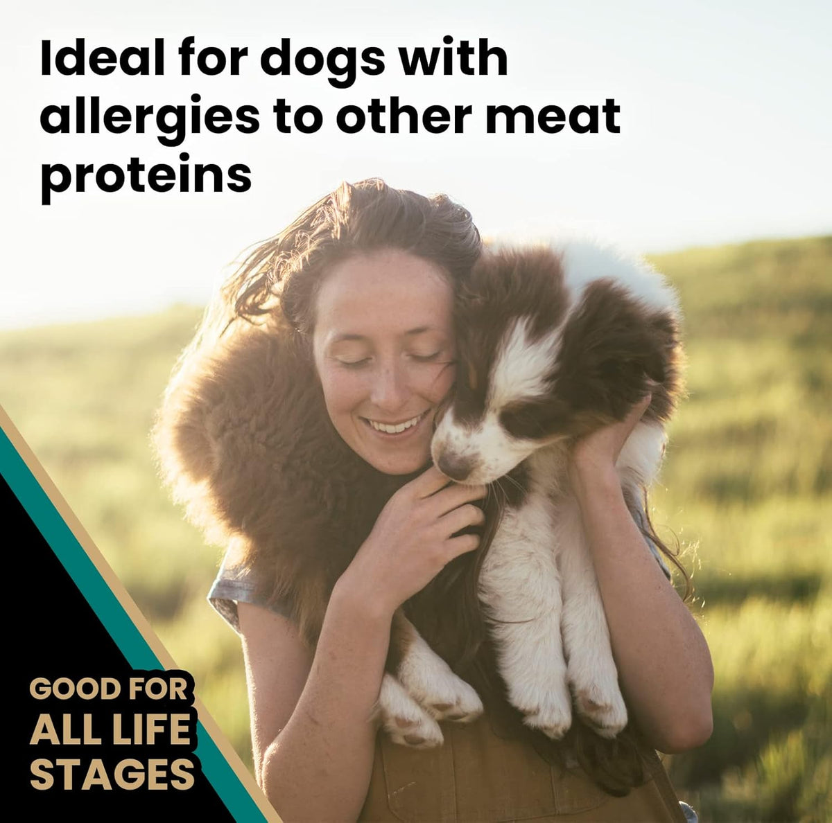 VICTOR Super Premium Dog Food – Select Ocean Fish Formula with Salmon – Omega-3 and Omega-6