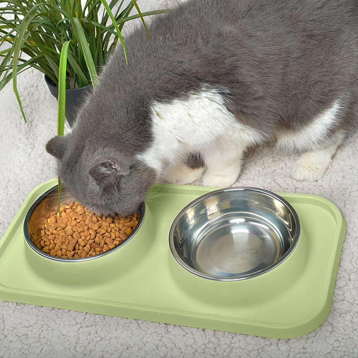 Cat Food Bowls, Cat Bowls Non-Skid and Non-Spill Silicone Pads with PP Stand, Removable Stainless