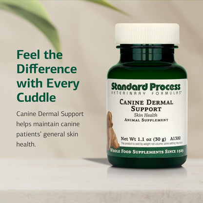 Standard Process Canine Dermal Support - Skin & Adrenal Gland Support Supplement - Comprehensive