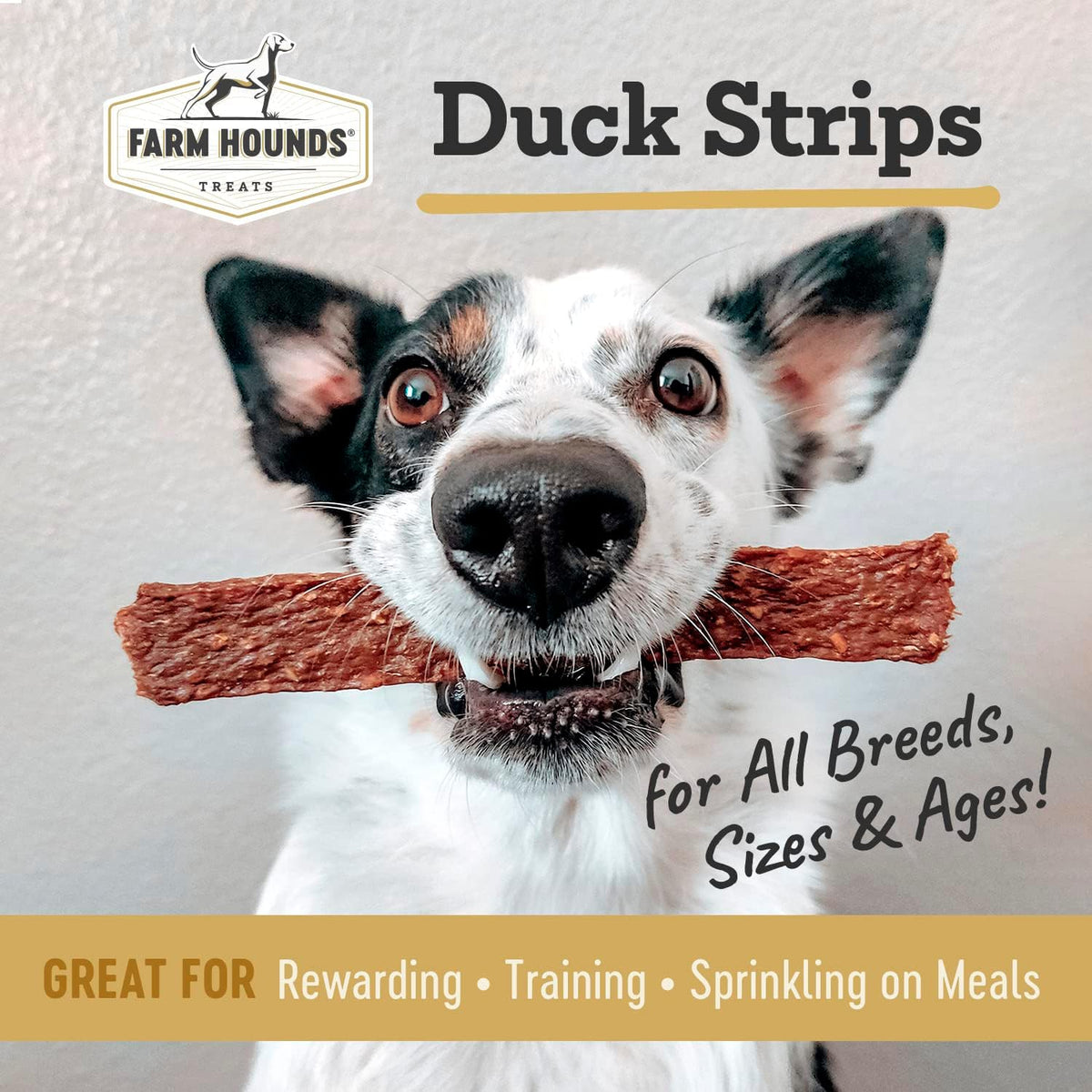 Farm Hounds - Duck Strips - Premium Natural Jerky for Dogs - Made from 100% Humanely Raised Duck