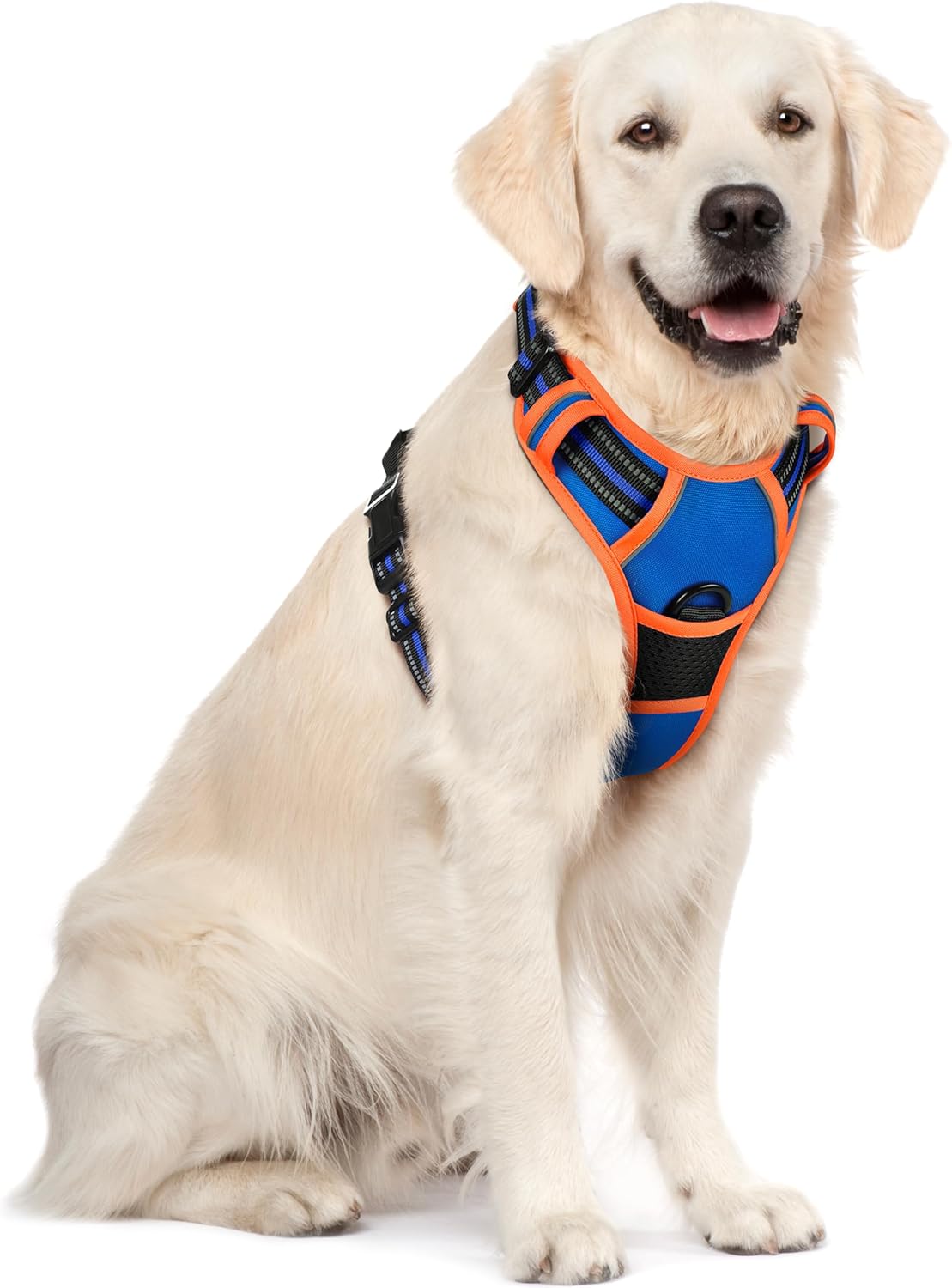 rabbitgoo Dog Harness No Pull with 2 Leash Clips, Adjustable Soft Padded, Reflective Oxford No