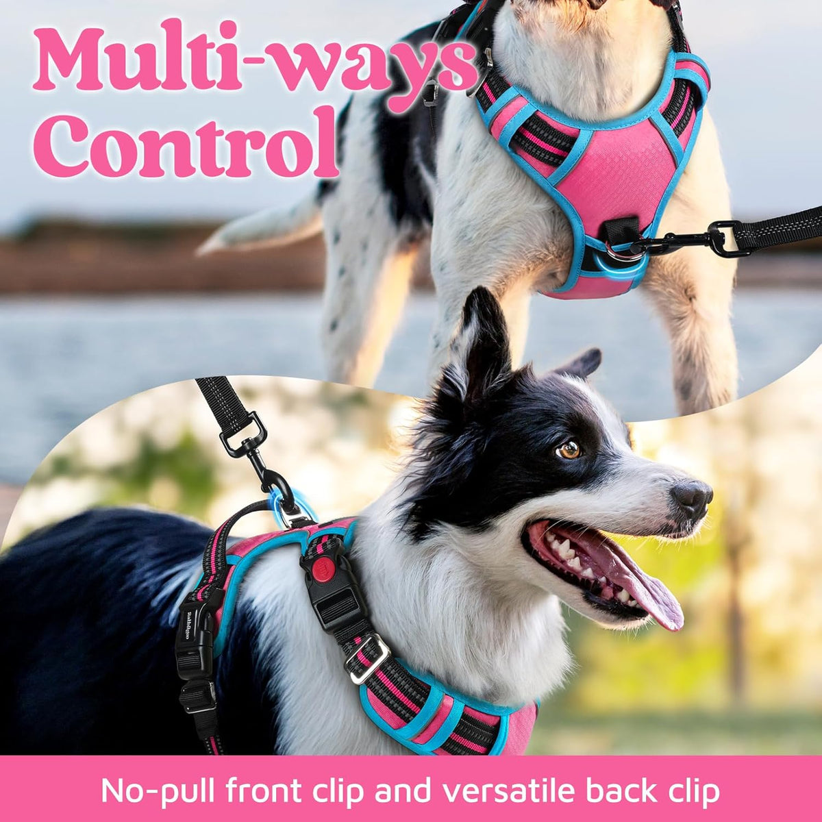 rabbitgoo Dog Harness Medium Sized, No Pull Dog Vest with 3 Buckles, Adjustable Soft Padded Pet