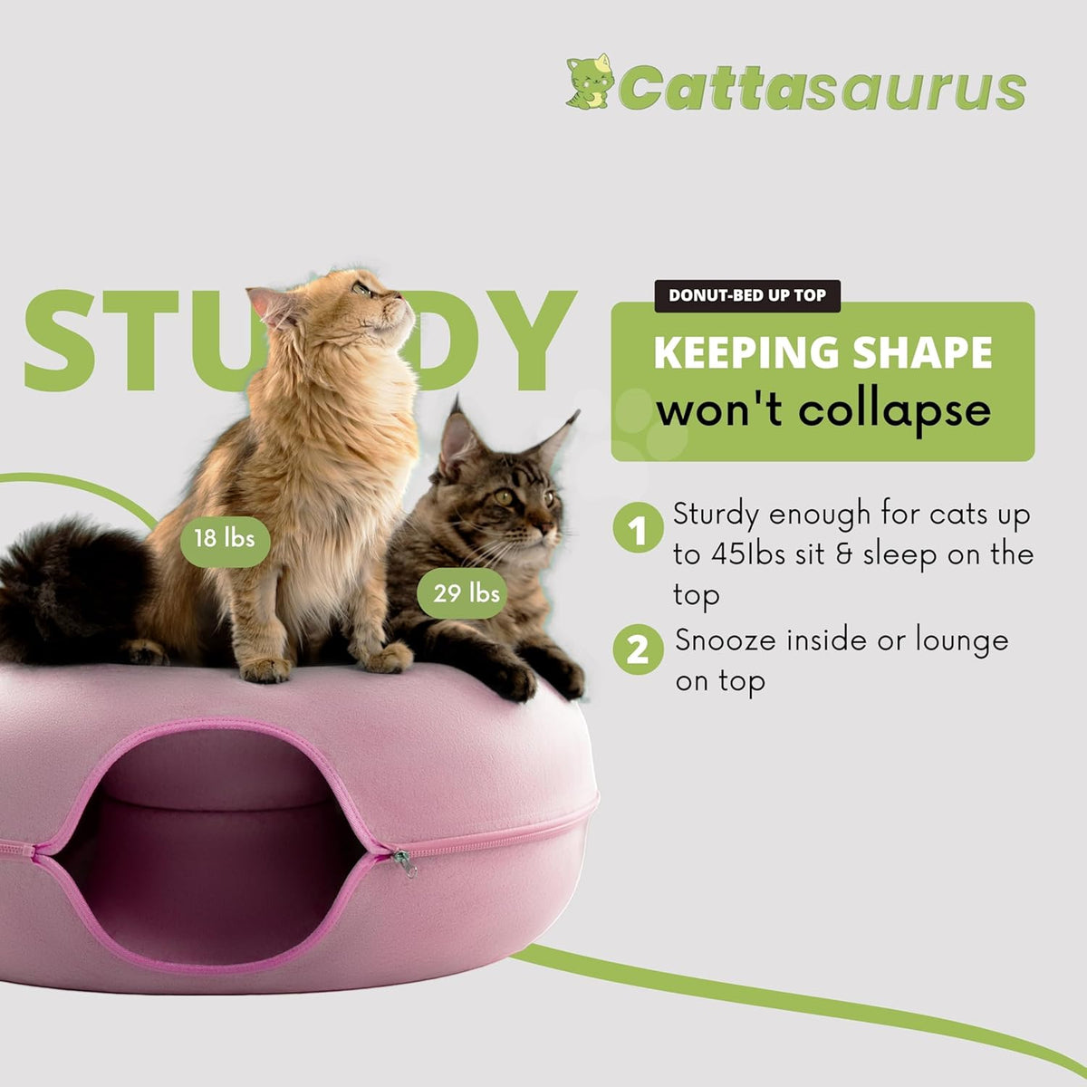 Cattasaurus Peekaboo Cat Cave for Multiple & Large Cats Up to 30-45 Lbs, Scratch Detachable &