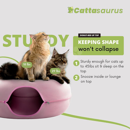 Cattasaurus Peekaboo Cat Cave for Multiple & Large Cats Up to 30-45 Lbs, Scratch Detachable &