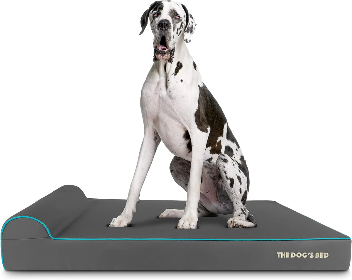 The Dog’s Bed Orthopedic Headrest Dog Bed XXL Grey/Blue 54x36, Memory Foam, Pain Relief for