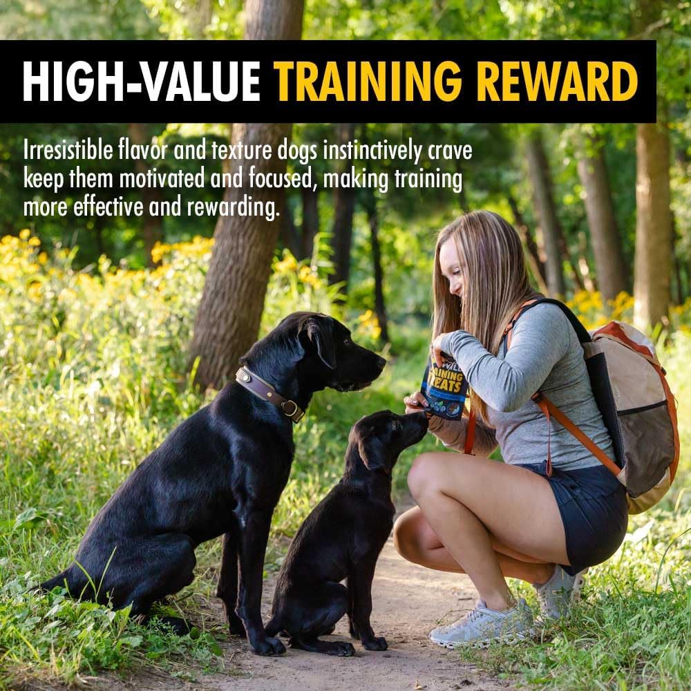 High Country Wild Blueberry Elk & Venison Dog Training Treats - Natural Grain-Free Puppy & Dog