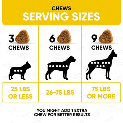 Probiotics Chews for Dogs w/Digestive Enzymes - Dog Probiotics to Support Gut Health, Alleviate Dog