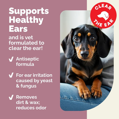 Vetnique Oticbliss Advanced Strength Medicated Dog Ear Infection Treatment, Antiseptic Ear Cleaner