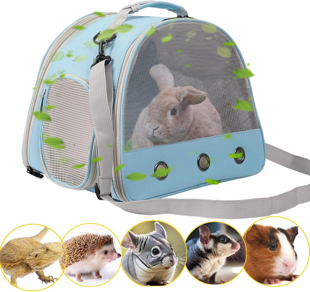 Ventilation Carrier for Bearded Dragons, Guinea Pigs, Reptiles & Small Pets - Airline Approved Mesh