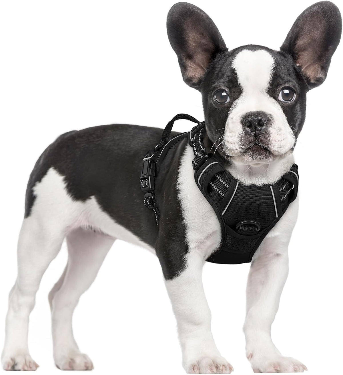 rabbitgoo Dog Harness No Pull with 2 Leash Clips, Adjustable Soft Padded, Reflective Oxford No