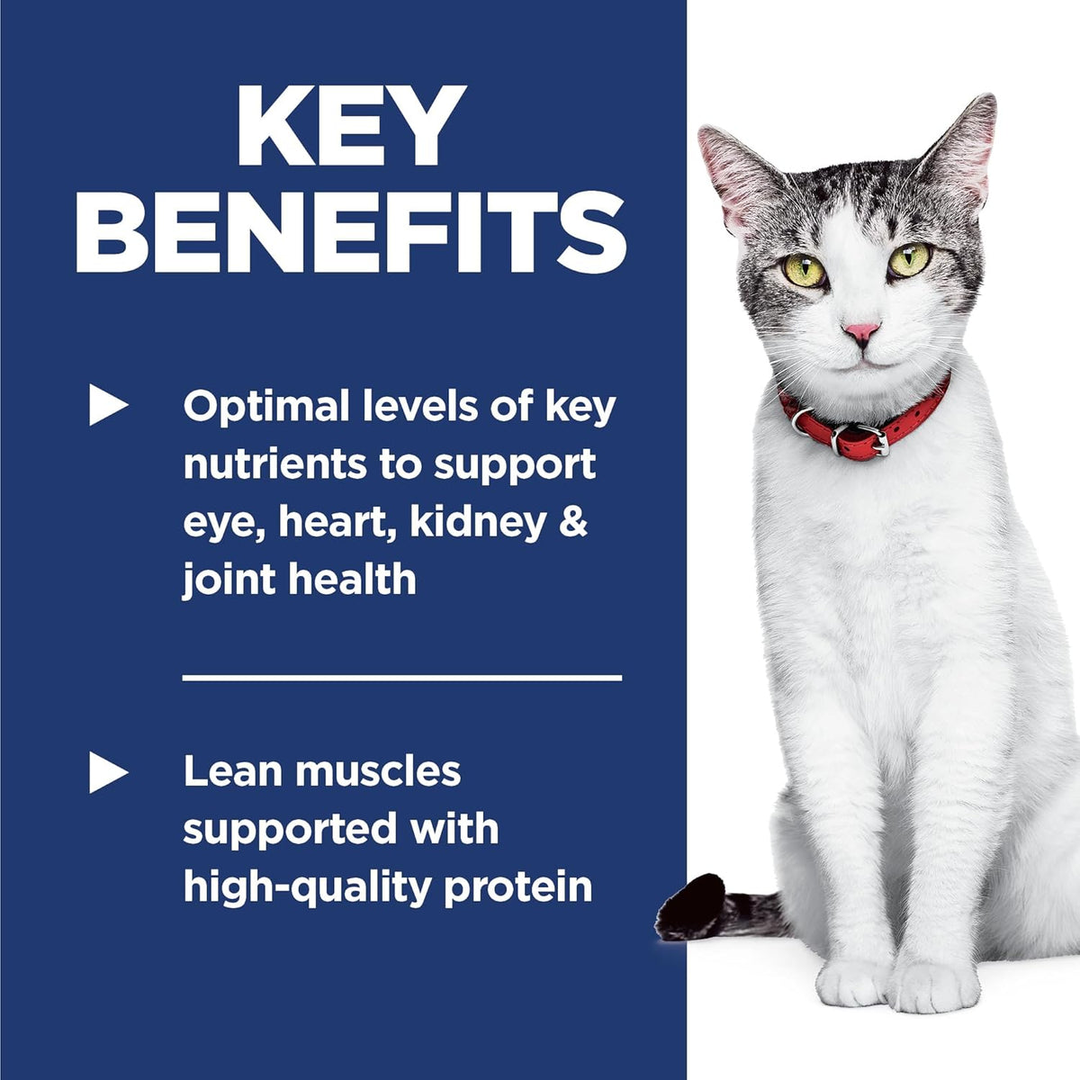 Hill's Science Diet Adult 11+, Senior Adult 11+ Premium Nutrition, Dry Cat Food, Chicken Recipe, 7