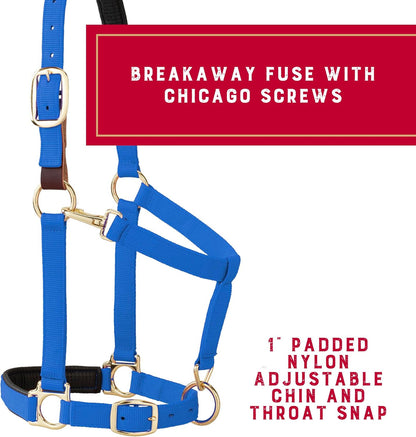 Weaver Equine Breakaway Horse Halter, Comfort Foam Padding, Adjustable Chin & Throat Snap Halters