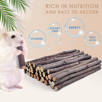 Bissap 230g/8.1oz Apple Sticks for Rabbits, Natural Bunny Chew Toys and Treats for Chinchilla