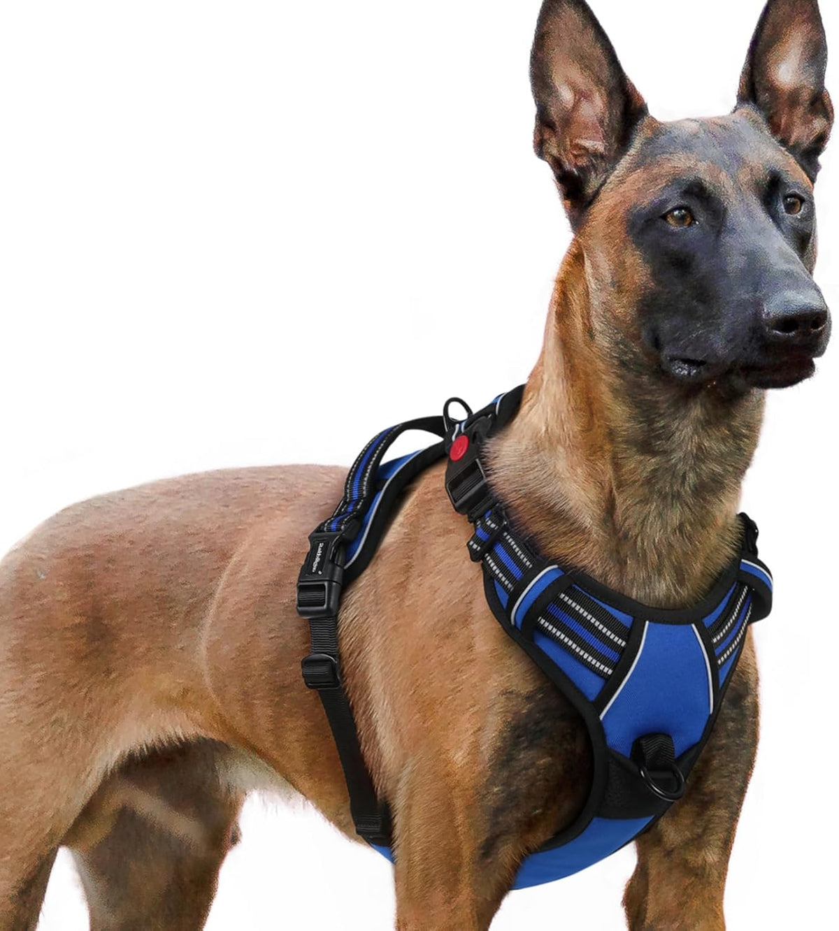 rabbitgoo Dog Harness for Large, No Pull Pet Harness with 3 Buckles, Adjustable Soft Padded Vest