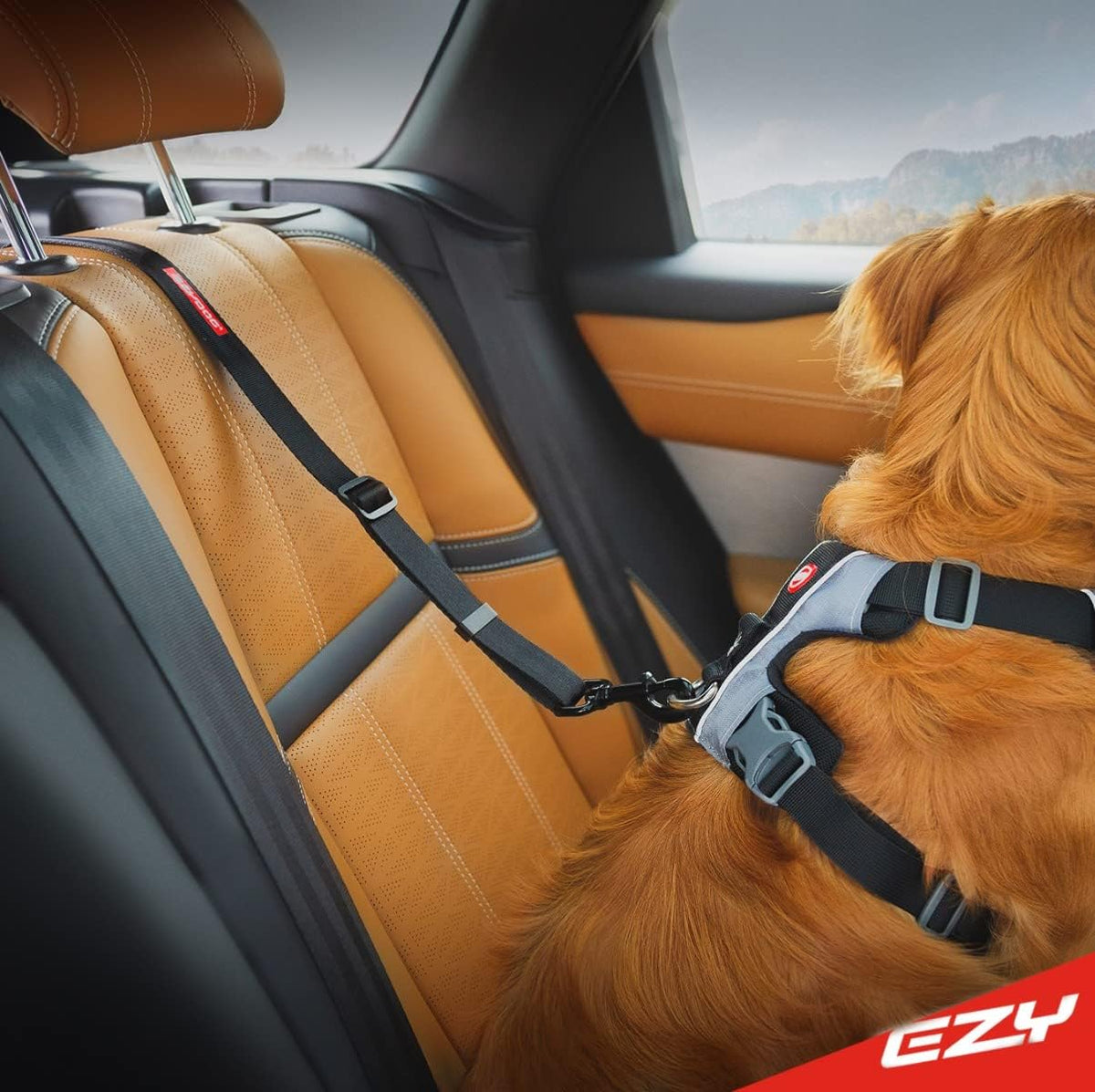 EzyDog Click ISOFIX Standard - Dog Seat Belt Car Harness Attachment for Dogs - Adjustable Dog